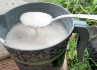 ŽELITE PUNO VELIKIH PAPRIKA, PARADAJZA I KRASTAVACA? Svaku biljku jednom mjesečno hranite ovim čudom, ništa više!