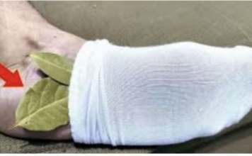 Moj deda je stavio lovorov list u čarapu i legao na spavanje: Stari trik koji se NIKAD ne sme zaboraviti, evo zašto!