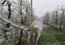 (FOTO) Zima još nije rekla svoje: Pogledajte gdje se očekuju SUSNJEŽICA I SNIJEG, ovaj dan DONOSI MINUS