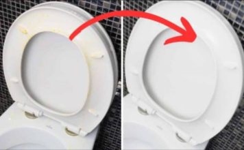 Savršen TRIK moje svekrve za uklanjanje ŽUTE mrlje sa WC daske: Kao nov je!