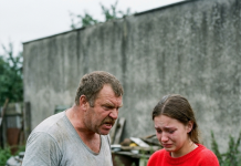 Komšija podigao zid od tri metra zbog svađe