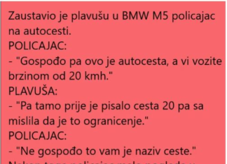 VIC DANA !!! PLAVUŠA NA AUTOCESTI