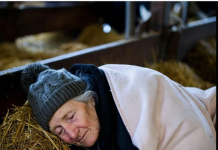 Snaha me poslala u štalu, a onda je jedne noći sve krenulo po zlu