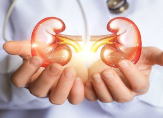 RAK BUBREGA IMA 6 SIMPTOMA – TEŠKO SE PREPOZNAJU: Posebno obratite pažnju na broj 2