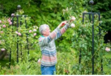 Već od danas stavite staru šolju u baštu i vrt, napravićete ogromnu promenu