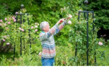 Već od danas stavite staru šolju u baštu i vrt, napravićete ogromnu promenu