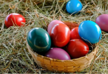 Ovo cveće obavezno treba uneti u kuću pre Vaskrsa: Veruje se da donosi sreću i napredak