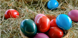 Ovo cveće obavezno treba uneti u kuću pre Vaskrsa: Veruje se da donosi sreću i napredak