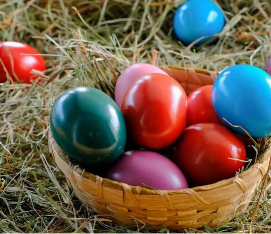 Ovo cveće obavezno treba uneti u kuću pre Vaskrsa: Veruje se da donosi sreću i napredak