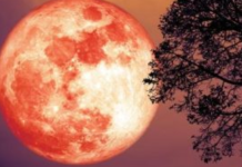 Neočekivana sreća stiže za 3 znaka 8. aprila, Mesec u Strelcu ističe sve njihove talente