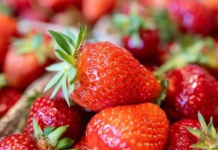 Ovo je najveća prevara sa jagodama: Ako vidite ovo na dnu gajbice, bježite od njih