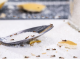 EVO KAKO DA SE REŠITE MRAVA U KUĆI: Sasvim prirodno i bez jakih otrova!